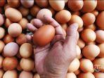 Telur-ayam-2305.jpg