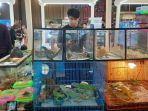 The-Park-Sawangan-di-Bojongsari-Kota-Depok-menggelar-pameran-Pet-in-The-Park.jpg