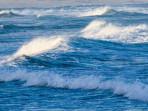 Tsunami2.jpg