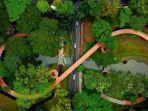 tebet-eco-park.jpg