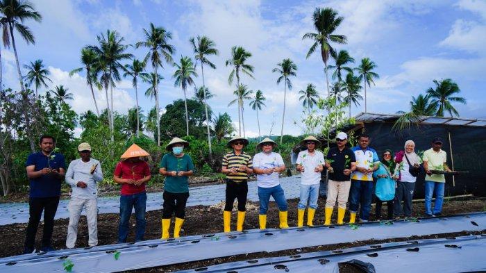Selain Tekan Inflasi, Pemda Morotai Pastikan Stok Komoditi Lokal Tetap Tersedia Hingga Ramadhan
