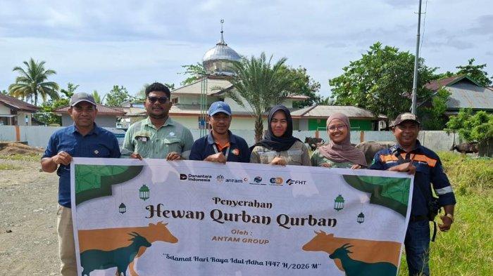 IBADAH: Penyerahan hewan kurban di Halmahera Timur, Maluku Utara, Selasa (26/5/2026)