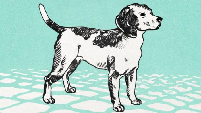 Ilustrasi Shio Anjing sebagai salah satu lambang hewan dalam 12 Shio China 2025, diunggah Rabu (26/11/2025).