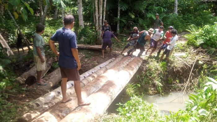 INFRASTRUKTUR: Tampak sejumlah warga Desa Wayatim, Kecamatan Bacan Timur Tengah, Halmahera Selatan berupaya menarik batang pohon untuk bangun jembatan darurat, Jumat (14/11/2025).