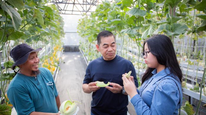 WISATA - Kapolda Maluku Utara Brigjen Pol Arif Budiman bersama Ny Rinny Arif dan rombongan melakukan kunjungan ke kebun wisata agro melon di Kelurahan Gambesi, Kecamatan Ternate Selatan, Kota Ternate, Senin (1/6/2026).