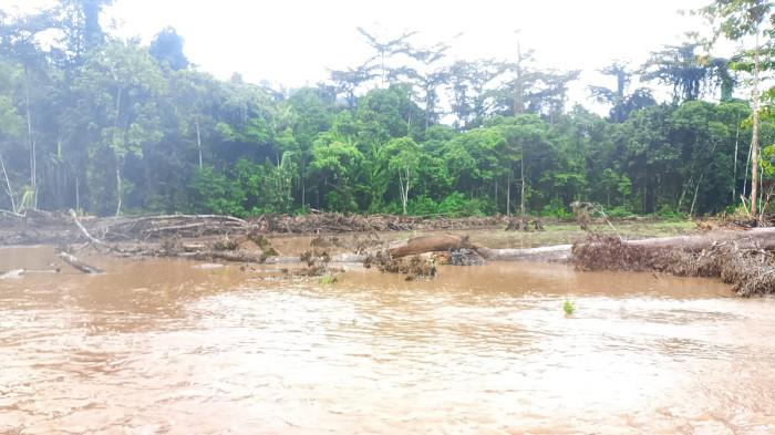 BENCANA: Kondisi area sawah di Desa Kampung Buton, Kecamatan Obi, Halmahera Selatan usai diterjang banjir, Senin (11/5/2026).