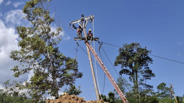 Ilustrasi petugas PLN. Penghargaan ini diberikan sebagai bentuk apresiasi atas peran aktif PLN UIW MMU dalam mendukung upaya pemulihan kelistrikan di wilayah terdampak bencana di Sumatera