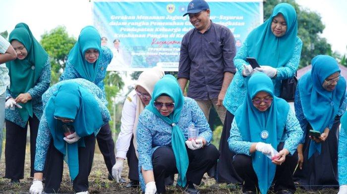 Dukung Ketahanan Pangan, Dinas Pertanian dan TP PKK Tidore Gelar Penanaman Sayur dan Jagung