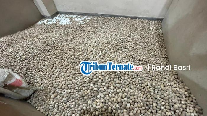 KOMODITAS: Tumpukan pala di salah satu toko/ud di Kota Ternate, Senin (4/5/2026)