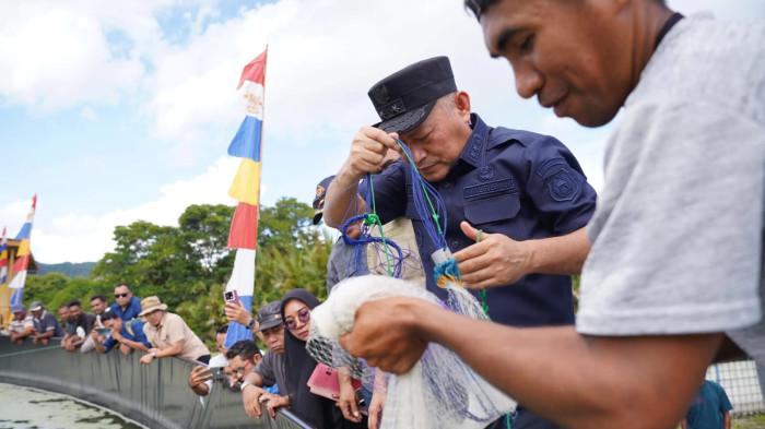 AGENDA: Wakil Gubernur Maluku Utara Sehe panen udang Vaname dengan menggunakan jaring kecil, dibantu seorang warga, Jumat (15/5/2026)