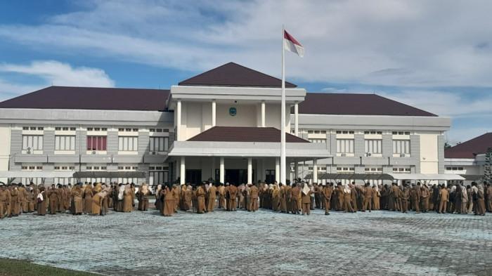 Penyebab PPPK di Halmahera Timur Belum Terima Gaji Bulan Juli 2025