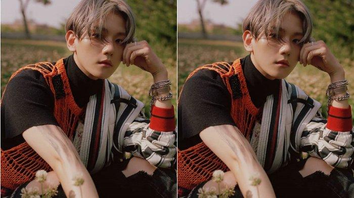 Stephanie Poetri Syok saat Baekhyun EXO Nyanyi I Love You 3000 di Konser SuperM Chicago Viral