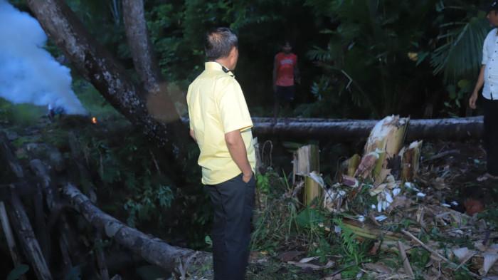 ikram m sangadji liat jembatan_23
