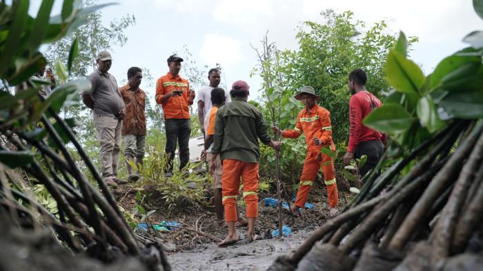 Lanjutkan Program Satu Juta Mangrove, PT IWIP Tanam 5.000 Bibit di Halmahera Timur