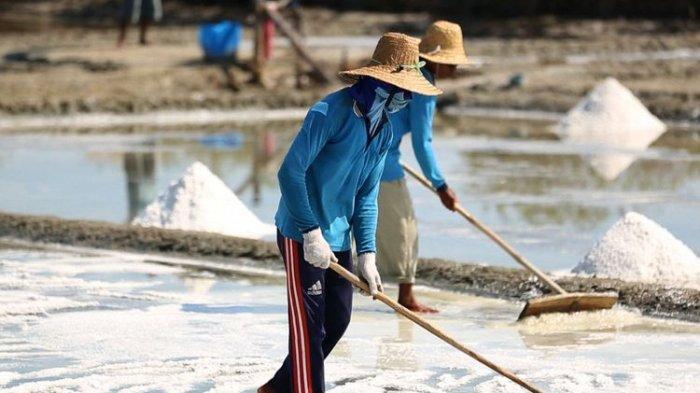 Kurangnya Skill Petani Lokal Jadi Alasan Indonesia Masih Impor Garam meski Punya Lautan Luas
