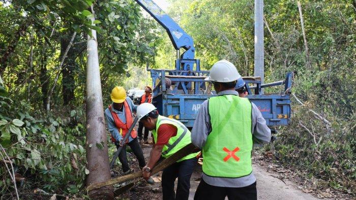 LAYANAN - Petugas PLN bergotong royong memasang tiang listrik jaringan tegangan menengah (JTM) yang akan menyalurkan listrik ke Dusun 4 Sungai Putih, Desa Bandar Jaya. Secara nasional, PLN akan membangun infrastruktur JTM sepanjang 4.770 kms, 3.265 kms jaringan tegangan rendah, dan 94.040 kVA gardu distribusi untuk melistriki desa-desa yang termasuk dalam Program Listrik Desa di tahun 2025.