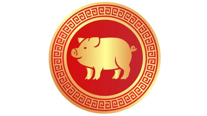 RAMALAN SHIO - Ilustrasi shio babi. Diunduh dari canva.com, Senin (12/1/2026).