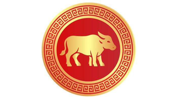 RAMALAN SHIO - Ilustrasi shio kerbau. Diunduh dari canva.com, Senin (12/1/2026).