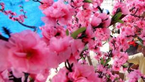 Ilustrasi-rangkaian-bunga-mehwa-atau-bunga-sakura-Imlek-Shio.jpg