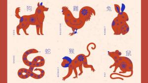 Shio-Anjing-Shio-Ayam-Shio-Kelinci-Shio-Ular-Shio-Monyet-dan-Shio-Tikus.jpg