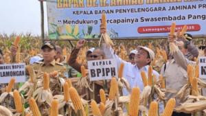 Strategi-mewujudkan-ketahanan-pangan-Indonesia.jpg