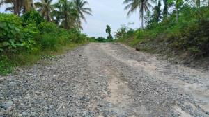 Tampak-badan-jalan-Madopolo-Jojame-di-Kecamatan-Obi-Utara-Halmahera-Selatan-belum-diaspal.jpg