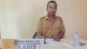 burhan-garusu-taliabu.jpg