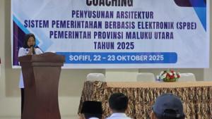 kegiatan-Coaching-Penyusunan-Arsitektur-SPBE-Pemprov-Maluku-Utara.jpg
