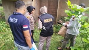 penemuan-mayat-di-rumah-kebun-ternate_91.jpg