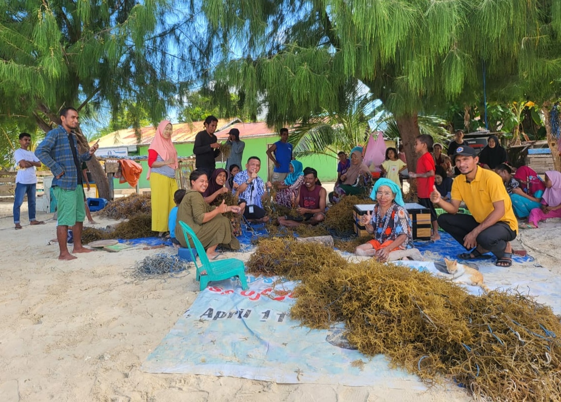 Pj Bupati Morotai Sambangi Petani Rumput Laut di Desa Kolorai, Ini yang Diharapkan