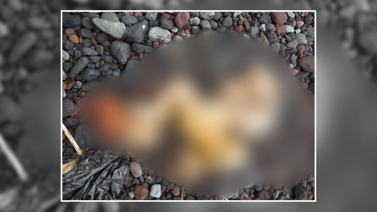 Geger Ditemukan Mayat Bayi di Dalam Tas Kresek Hitam di Ternate, Jasadnya Tak Utuh Lagi