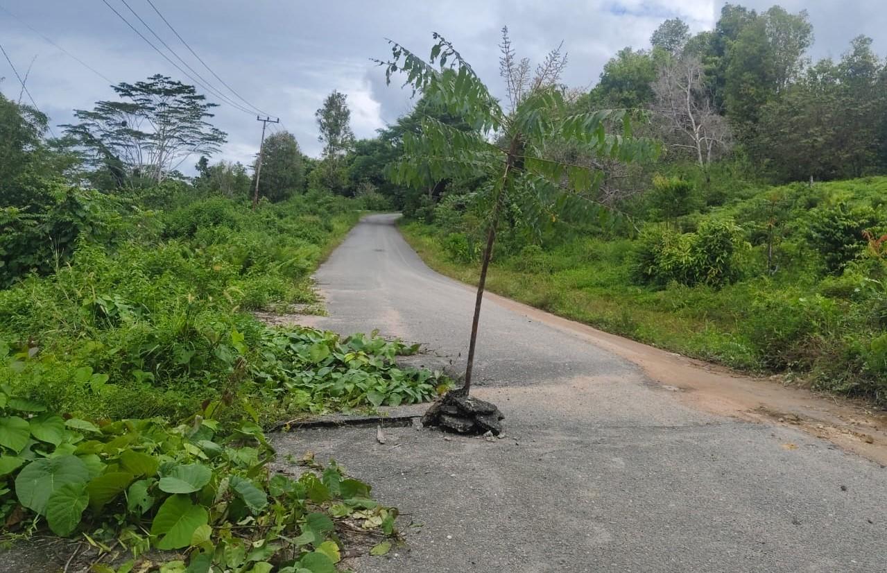 Pengendara Wajib Waspada, Ada Jalan Nyaris Ambruk di Jalur Tanjakan Menuju RSUD Bobong Taliabu