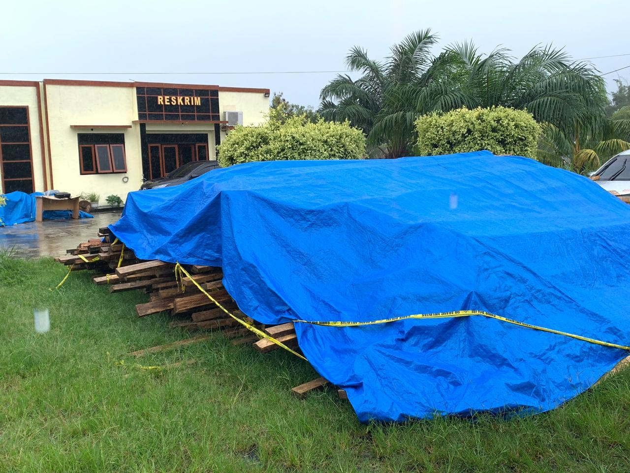 Polres Halmahera Selatan Lidik Praktik Illegal Logging di Gane Timur, 20 Kubik Kayu Ditahan