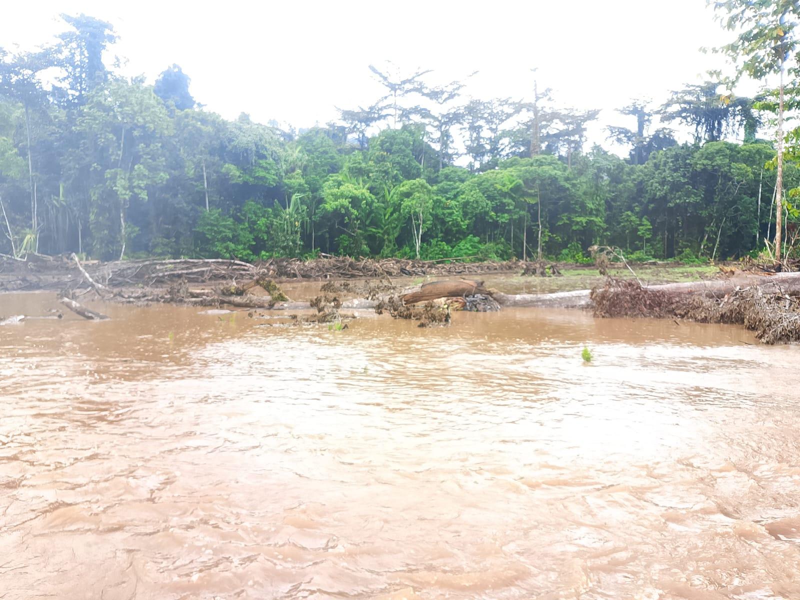 Kondisi-area-sawah-di-Desa-Kampung-Buton-Kecamatan-Obi-Halmahera-Selatan.jpg