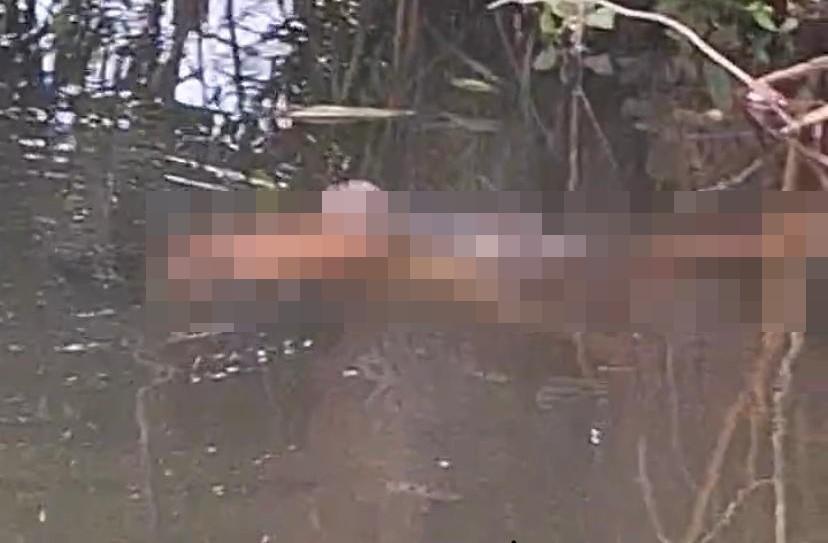 BREAKING NEWS: Bocah 15 Tahun di Halmahera Selatan Diterkam Buaya, Warga Lakukan Pencarian