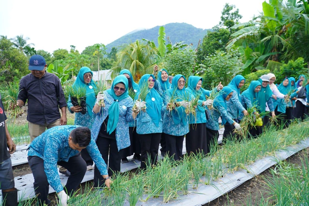Ketua TP PKK Tidore Dukung Budi Daya Bawang Topo
