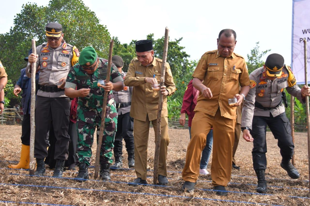 Penanaman-jagung-oleh-Satgas-Pangan-Tidore.jpg