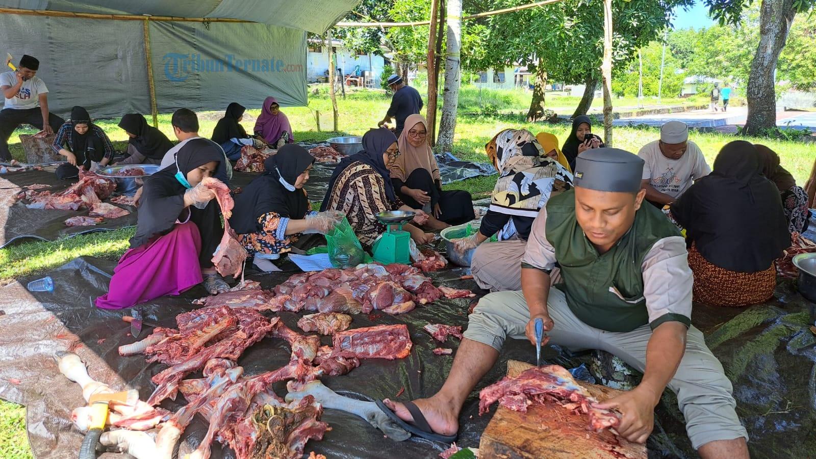 Berniat Jual Hewan Kurban? Simak Terlebih Dahulu Hukum dan Dalilnya