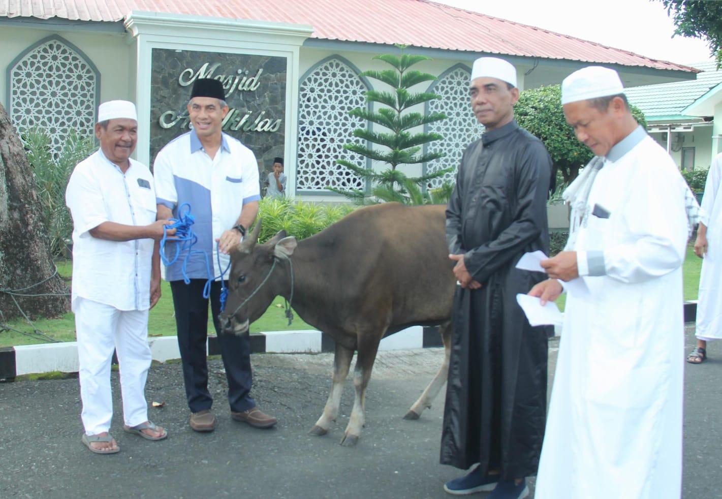 Idul Adha 2025 : Korem 152 Baabullah Ternate Sembelih 11 Ekor Sapi