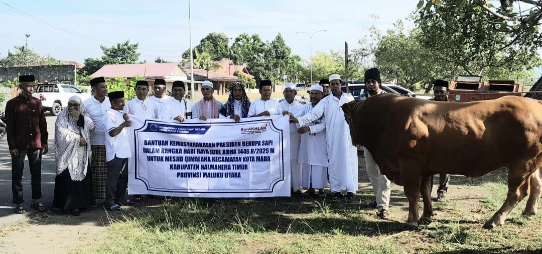 Sapi-kurban-presiden-untuk-pemkab-halmahera-timur.jpg