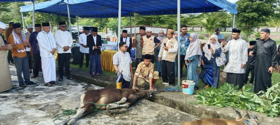 Wagub-Maluku-Utara-pantau-penyembelihan-hewan-kurban.jpg