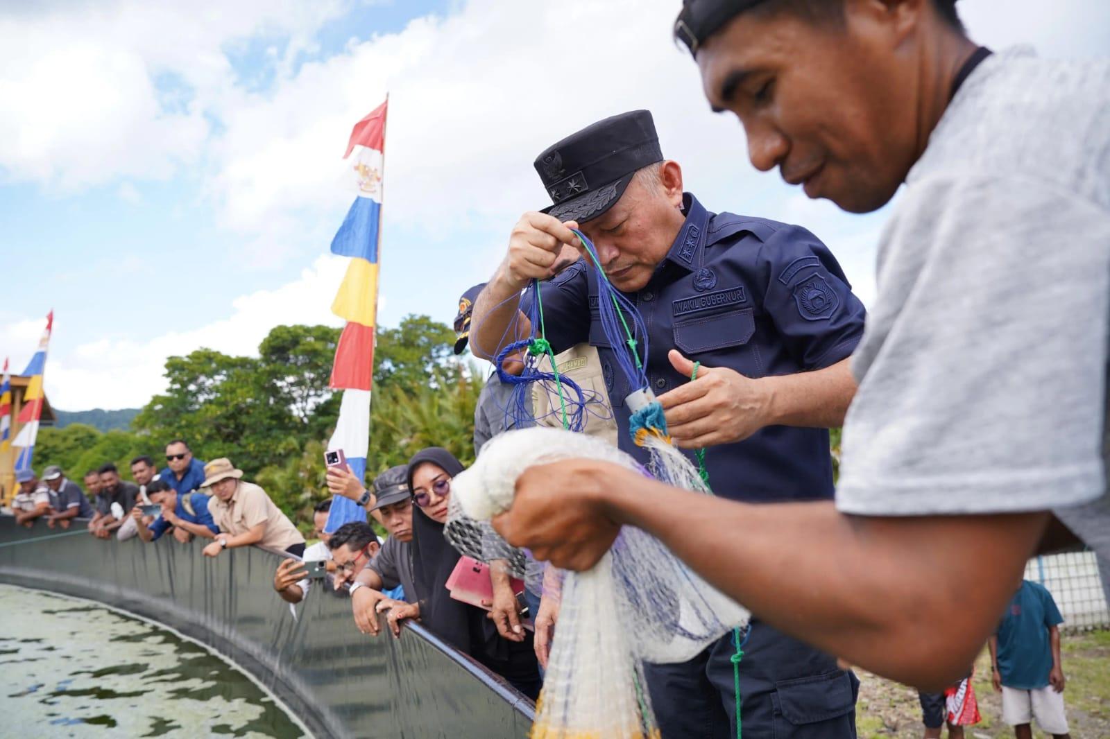 Wakil-Gubernur-Maluku-Utara-Sehe-panen-udang-Vaname.jpg