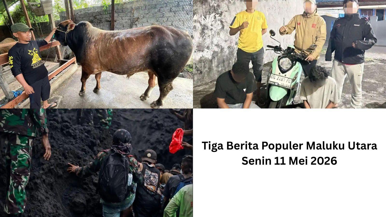 berita-populer-malut-senin-11-mei-2026.jpg