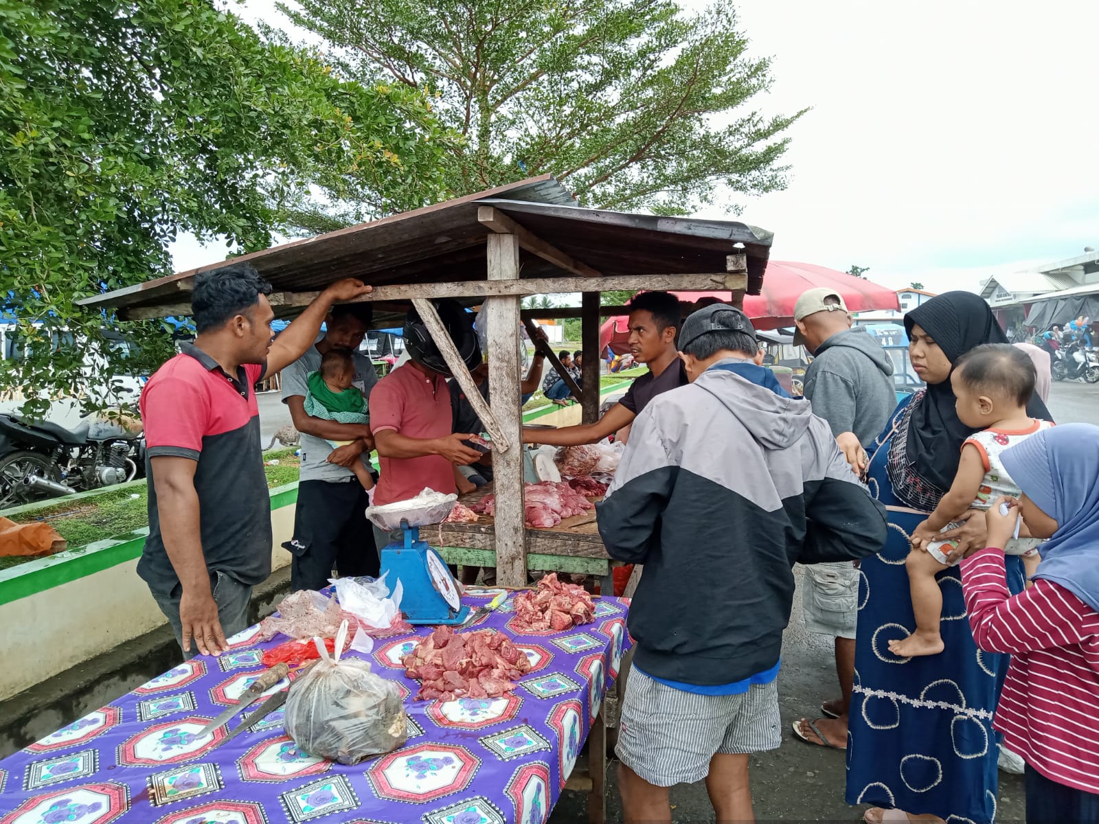Jelang Ramadan Harga Daging Sapi di Morotai Stabil Yaitu Rp 120 Ribu Sekilo