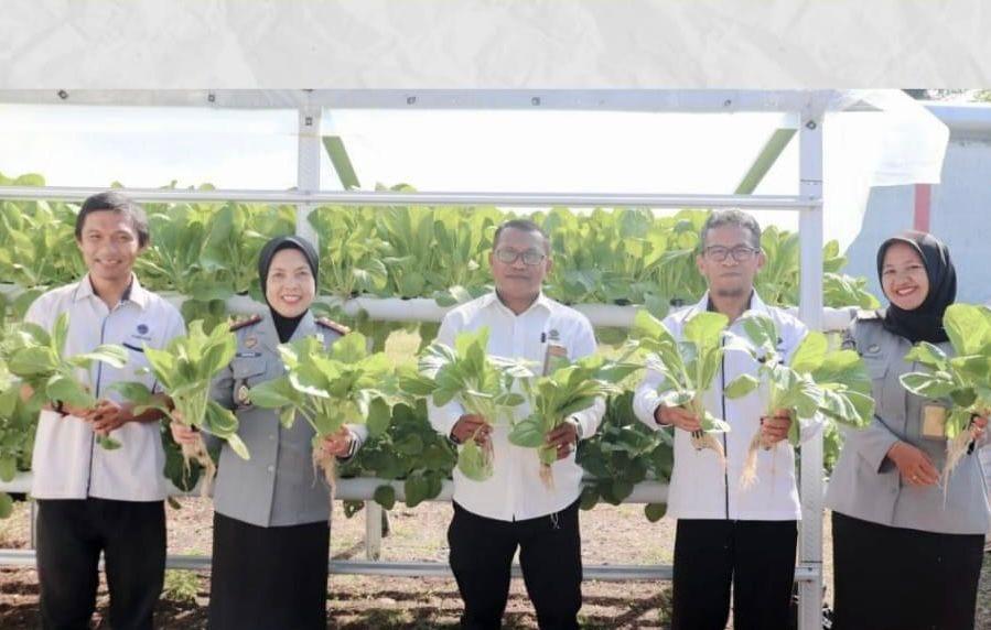 Lapas Perempuan Ternate Kemenkumham Maluku Utara Panen Sayur Hasil WBP
