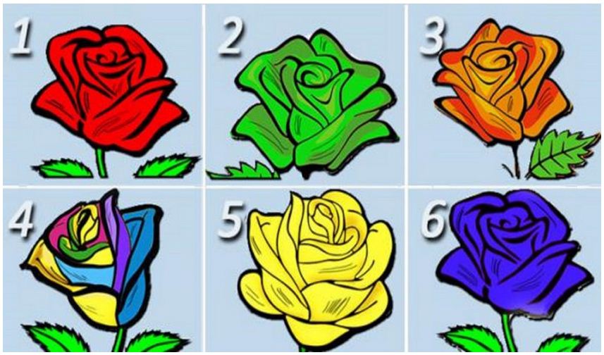 Tes Kepribadian: Mawar Pilihanmu Mungkin akan Mengungkap Banyak Hal Tentang Dirimu