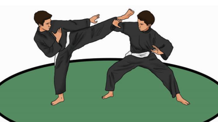 ilustrasi-pencak-silat.jpg