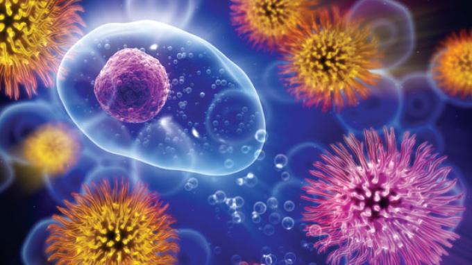 7 Alasan Kenapa Virus G4 Flu Babi Baru Berpotensi Jadi Pandemi, Dapat Menular Lewat Kontak Langsung