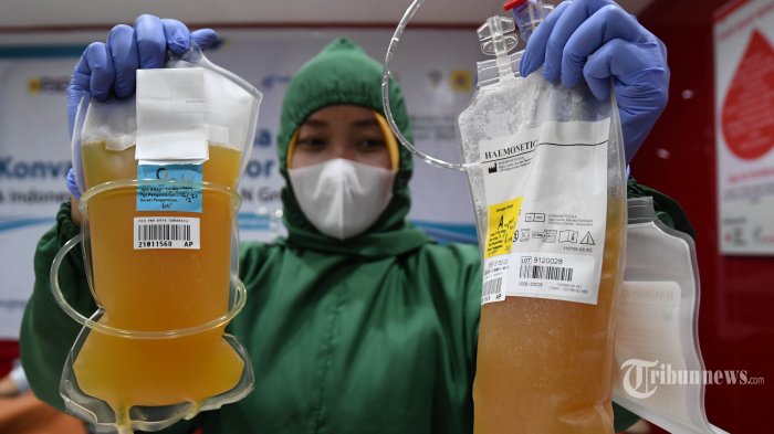 Bisakah Orang yang Sudah Divaksin Covid-19 Donor Plasma Konvalesen? Ini Penjelasan FDA