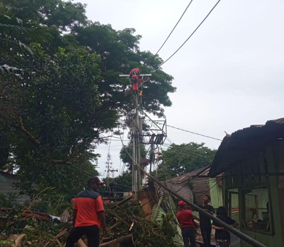 Gerak Cepat PLN UIW MMU Atasi Dampak Pohon Tumbang Akibat Cuaca Ekstrem di OSM Ambon